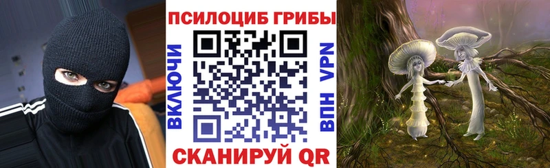 Псилоцибиновые грибы Psilocybe  Малоархангельск 